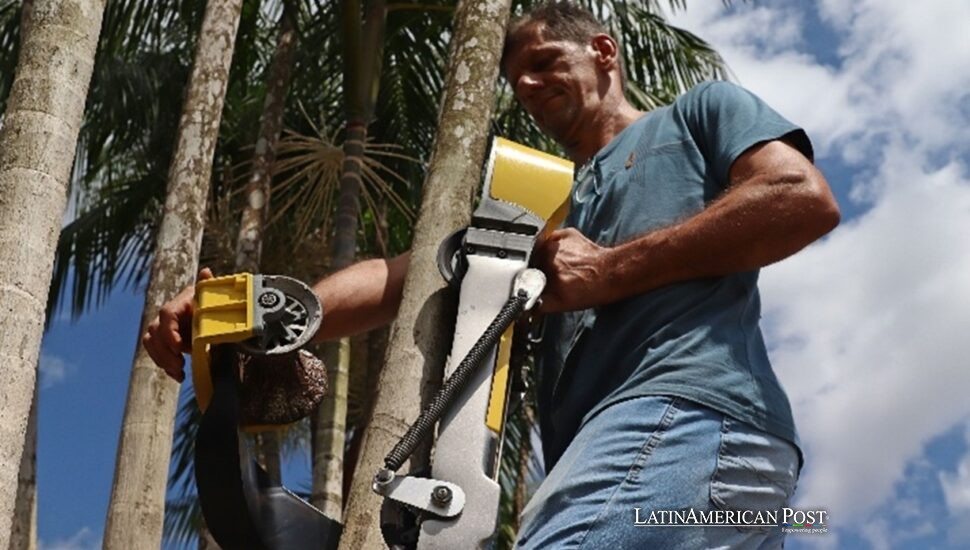 El robot que trepa por el bosque: cómo la Amazonía brasileña convierte la innovación en supervivencia