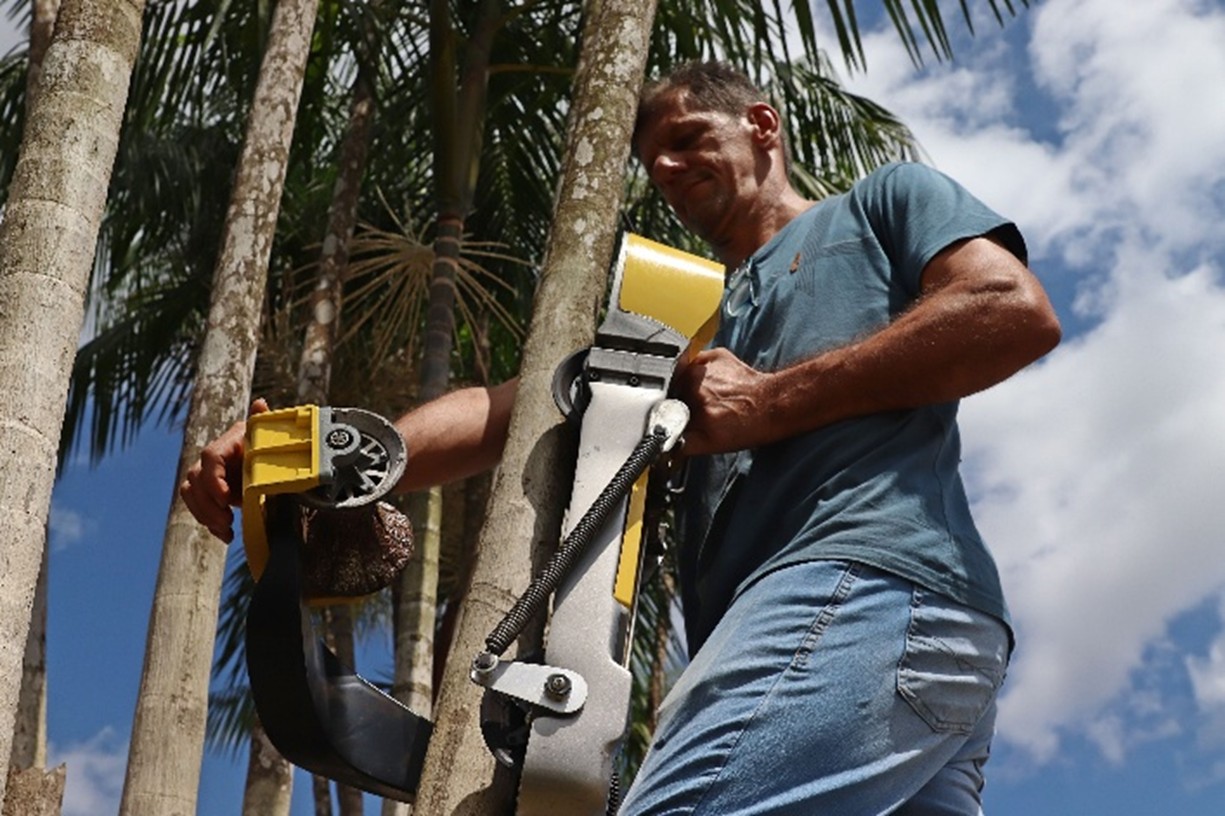 The Robot That Climbs for the Forest: How Brazil's Amazon Turns Innovation into Survival