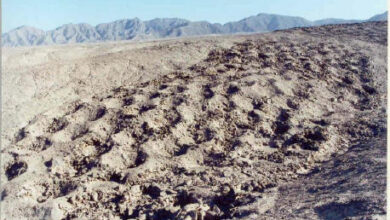 La Banda de Agujeros: cómo un misterio peruano se convirtió en un registro inca de la vida