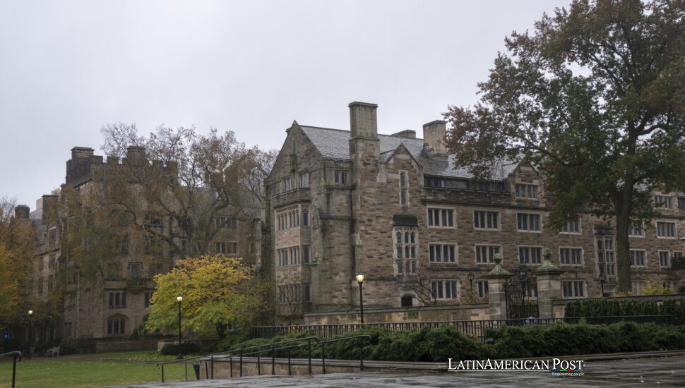 Bad Bunny en Yale: cómo un superestrella puertorriqueña se convirtió en una lección sobre identidad Bad Bunny en Yale: cómo un superestrella puertorriqueña se convirtió en una lección sobre identidad