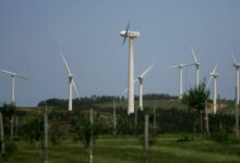 The Scientist Who Helped Rewire Uruguay, and May Now Help Rewire the World