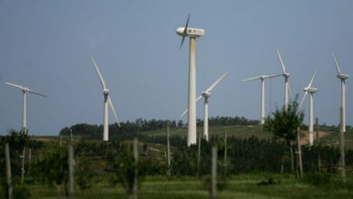 The Scientist Who Helped Rewire Uruguay, and May Now Help Rewire the World