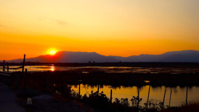 The Fight Over Water, Power, and the Future of AI In Chile's Data Desert The Fight Over Water, Power, and the Future of AI In Chile's Data Desert