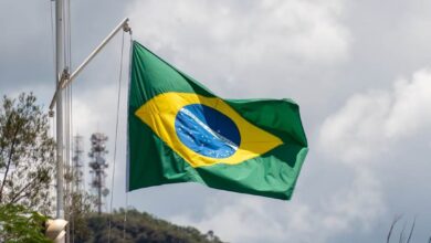 Brazil’s 2025 Slowdown Sparks Digital Escape