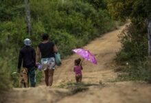 ¿Hombre fuerte brasileño o constructor de puentes? Tarcísio y la política de seguridad rumbo a 2026