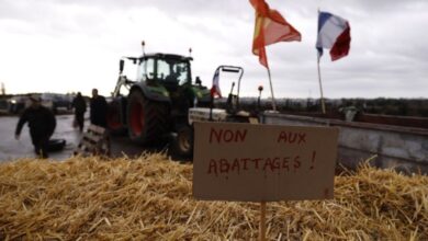 South American Mercosur Deal Tests Europe as France Courts Fury South American Mercosur Deal Tests Europe as France Courts Fury