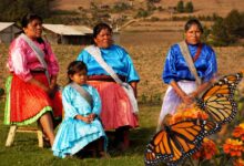 Mexico Monarchs Meet Mazahua Pride as Tourism Rewrites Michoacán Futures