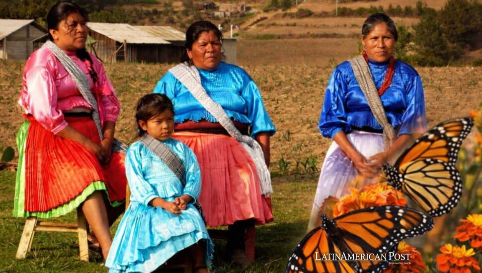 Mexico Monarchs Meet Mazahua Pride as Tourism Rewrites Michoacán Futures