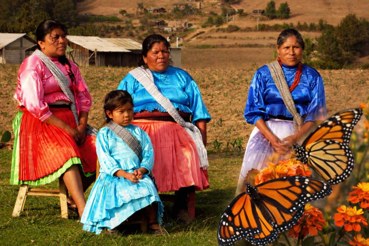 Mexico Monarchs Meet Mazahua Pride as Tourism Rewrites Michoacán Futures