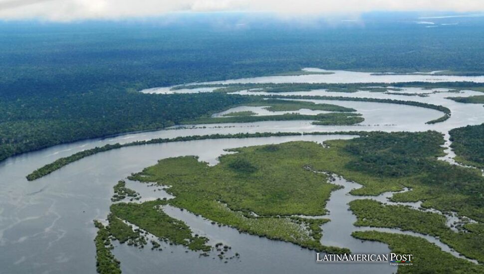 Brazil’s Amazon Defenders Rewrite Climate Politics from the Forest Floor