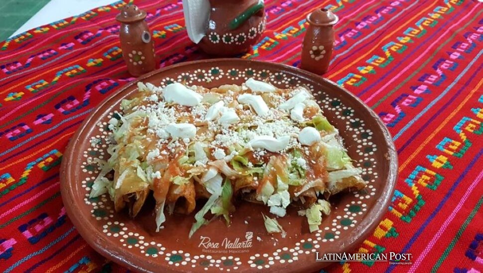 Mexican Enchiladas Traveled Far Enough to Lose Their Birth Certificate