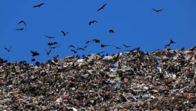 Panama Sends Incarcerated Women to Clean Streets as Trash Crisis Deepens