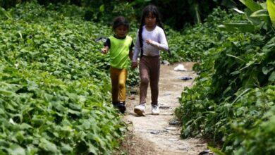 La crisis de seguridad infantil en América Latina enfrenta datos, política y decisiones