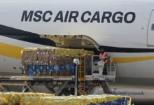 Las rosas de Ecuador corren contra el plazo de San Valentín mientras los aranceles presionan los márgenes de los productores