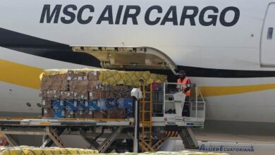 Ecuador Roses Race Valentine’s Deadline as Tariffs Squeeze Growers’ Margins