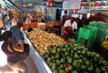 Cuba’s Fuel Shortage Impacts Markets Where Tomatoes Influence Prices