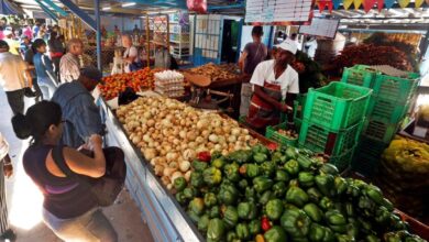 Cuba’s Fuel Shortage Impacts Markets Where Tomatoes Influence Prices