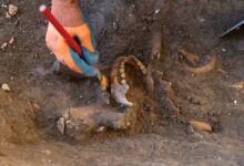 República Dominicana busca a Enriquillo, el primer guerrillero del continente y figura histórica