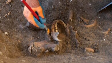 Dominican Republic Searches for Enriquillo, the Continent’s First Guerrillero and Historical Figure Dominican Republic Searches for Enriquillo, the Continent’s First Guerrillero and Historical Figure