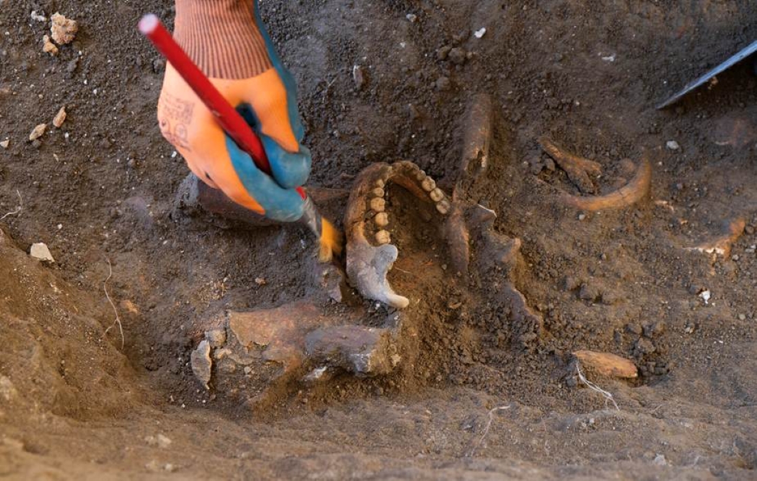 Dominican Republic Searches for Enriquillo, the Continent’s First Guerrillero and Historical Figure