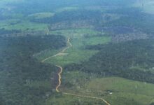 La Amazonía colombiana paga cuando las rutas de la coca se mueven como el agua