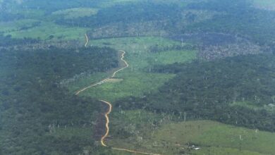 La Amazonía colombiana paga cuando las rutas de la coca se mueven como el agua
