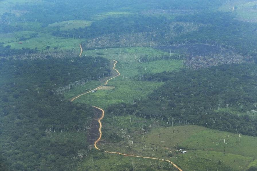 Colombian Amazon Rainforest Pays When Coca Routes Move Like Water