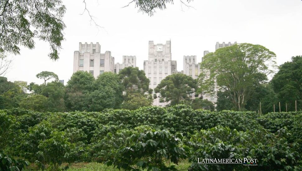 Brazil Plants Tomorrow’s Coffee as Heat Threatens Latin America’s Cup