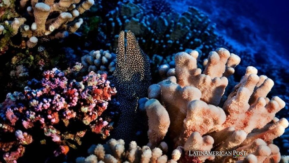 Caribbean Islands Reveal Deep Secrets as Protection Plans Catch Up