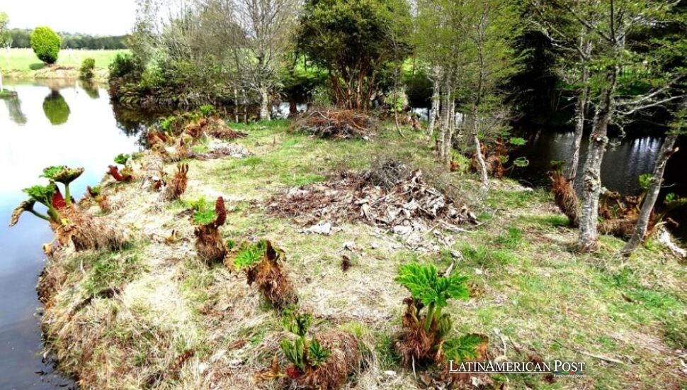 Chile reabre el debate sobre los Primeros Americanos y también la memoria regional