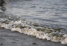 Mexico Oil Spill Reveals Persistent Transparency Issues in Latin America