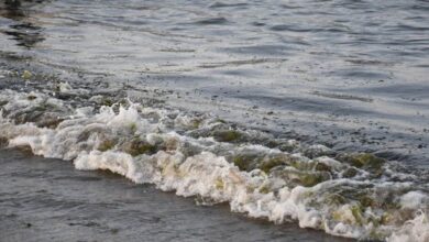 Derrame de petróleo en México revela persistentes problemas de transparencia en América Latina