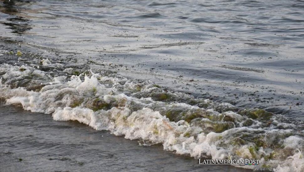 Mexico Oil Spill Reveals Persistent Transparency Issues in Latin America