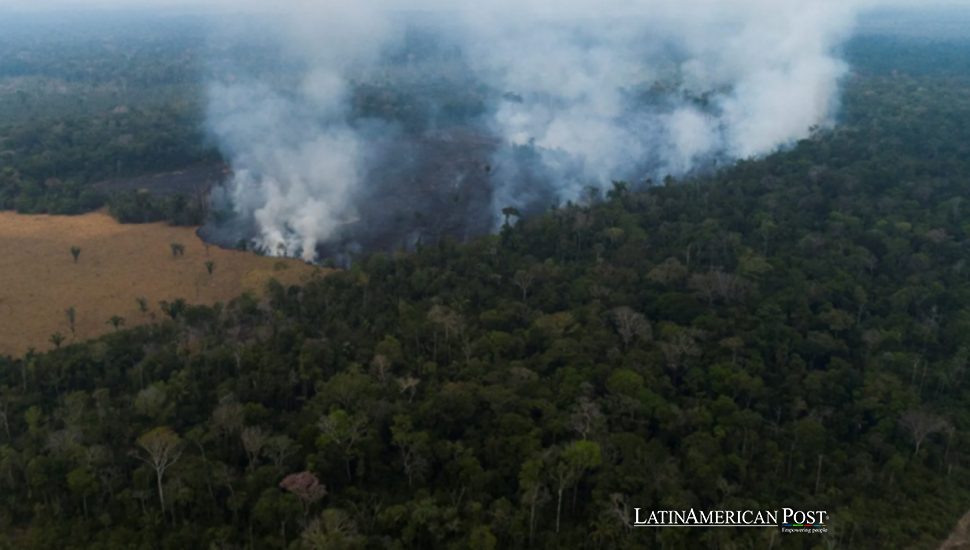 Brazil Turns Bankers Into Forest Guards as Amazon Politics Harden