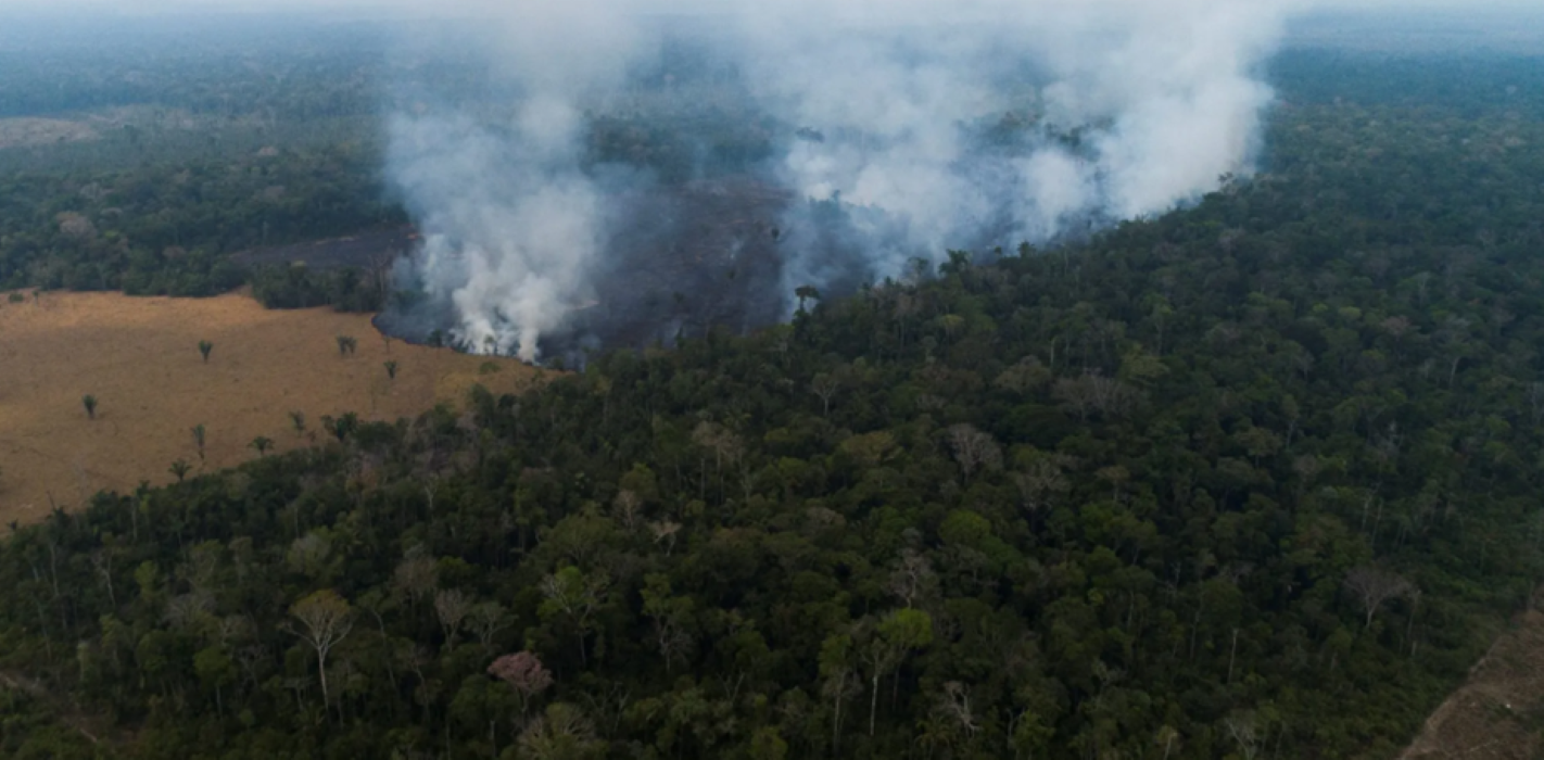 Brazil Turns Bankers Into Forest Guards as Amazon Politics Harden