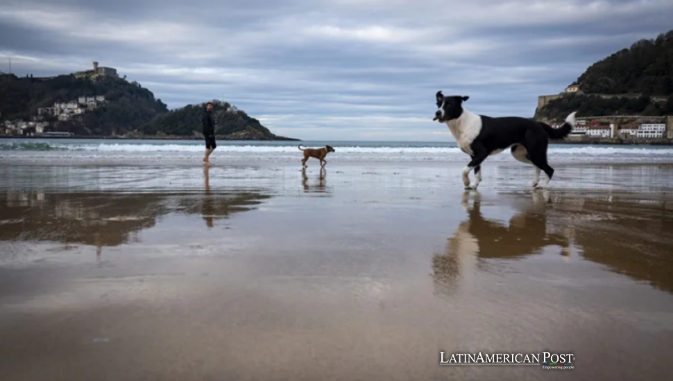 Brasil convierte la custodia de mascotas en una medida del amor moderno