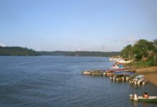 Brazil Oil Dreams Are Clearing Forest Faster Than Prosperity Arrives