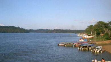 Los sueños petroleros de Brasil están despejando el bosque más rápido de lo que llega la prosperidad