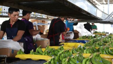 Panama Banana Jobs Return, but Bocas del Toro Still Trembles