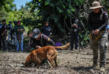 Mexico Watches Families Dig for Truth Where the State Falters