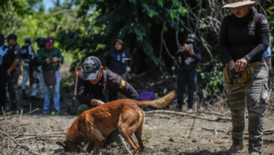 México observa cómo las familias cavan por la verdad donde el Estado falla