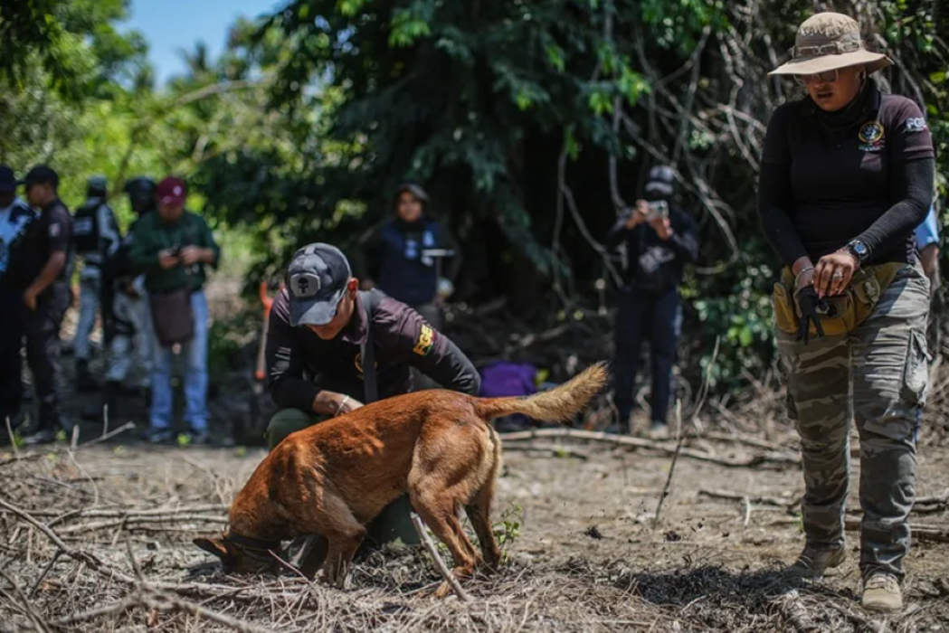 Mexico Watches Families Dig for Truth Where the State Falters
