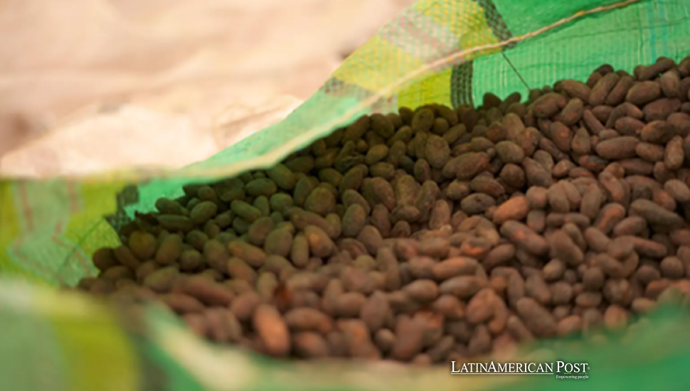 Ecuador Bets on Forest-Friendly Food as Green Trade Gets Real