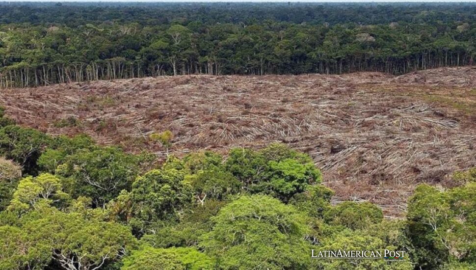 América Latina registra avances forestales mientras los incendios reescriben la política climática