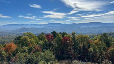 The Investment Potential of Smoky Mountain Property Markets