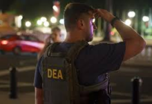 El imperio de la ley y la realidad de la improvisación