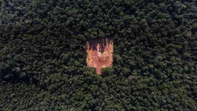 Brazilian Amazon Satellite Ban Tests Lula’s Green Promise Before Election Brazilian Amazon Satellite Ban Tests Lula’s Green Promise Before Election