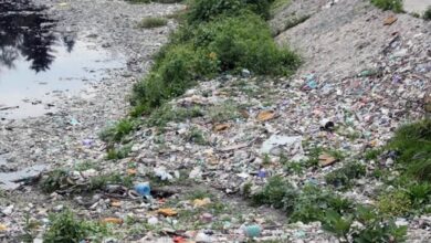 México se ahoga en basura mientras inicia la prueba de la economía circular México se ahoga en basura mientras inicia la prueba de la economía circular