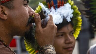 Brazil Counts Its Indigenous Nations and Finds a Larger Country Brazil Counts Its Indigenous Nations and Finds a Larger Country