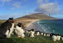 Las Malvinas regresan a la mesa de la OEA sin moverse un centímetro